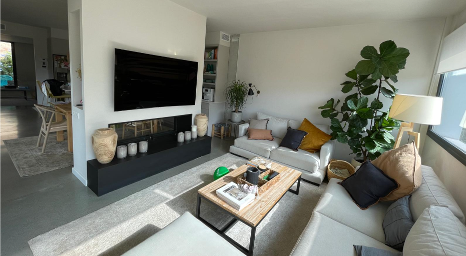 Salón con sofás claros, chimenea baja, televisión y planta decorativa